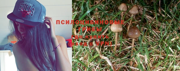 герыч Сафоново