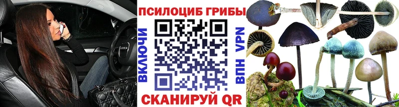 Галлюциногенные грибы Magic Shrooms  Сусуман 